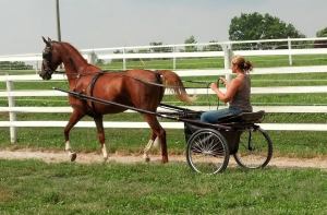 1077299_10151761182144444_350842536_o