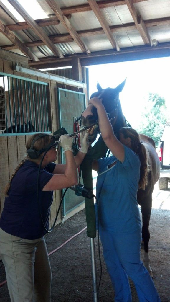 1265968_10151833024519444_1836620861_o