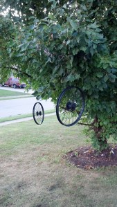 Cgosms_2013-08-1807-43-45