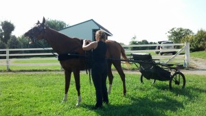 IMG_20130823_170758_025