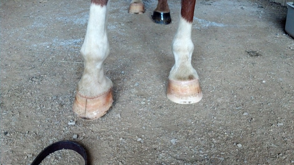 img_20130909_154839_273