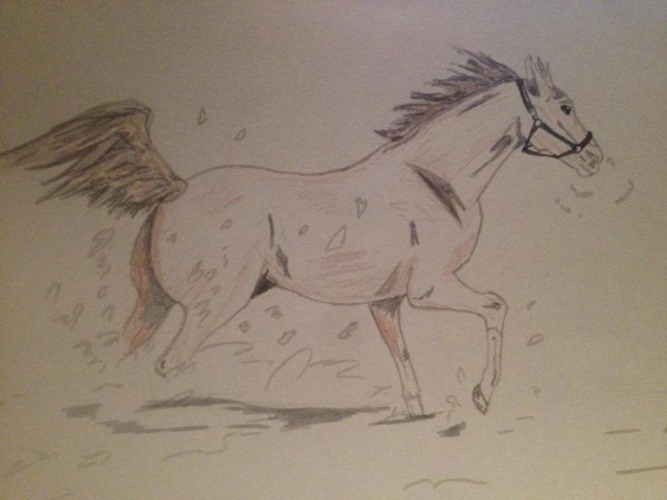 1621776_10152548410378356_2017390399_n