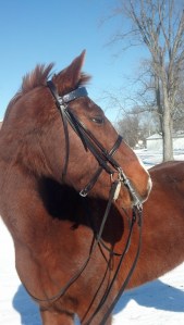 IMG_20140126_124011_127