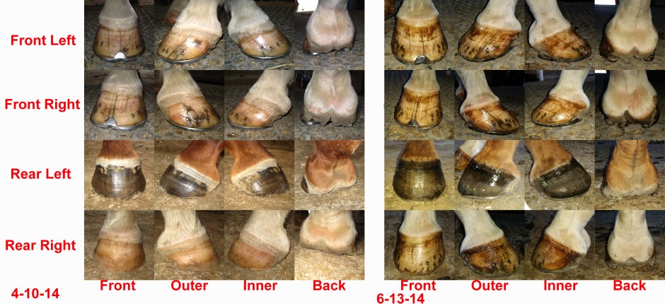 fiz-feet-4-10 and 6-13 compare
