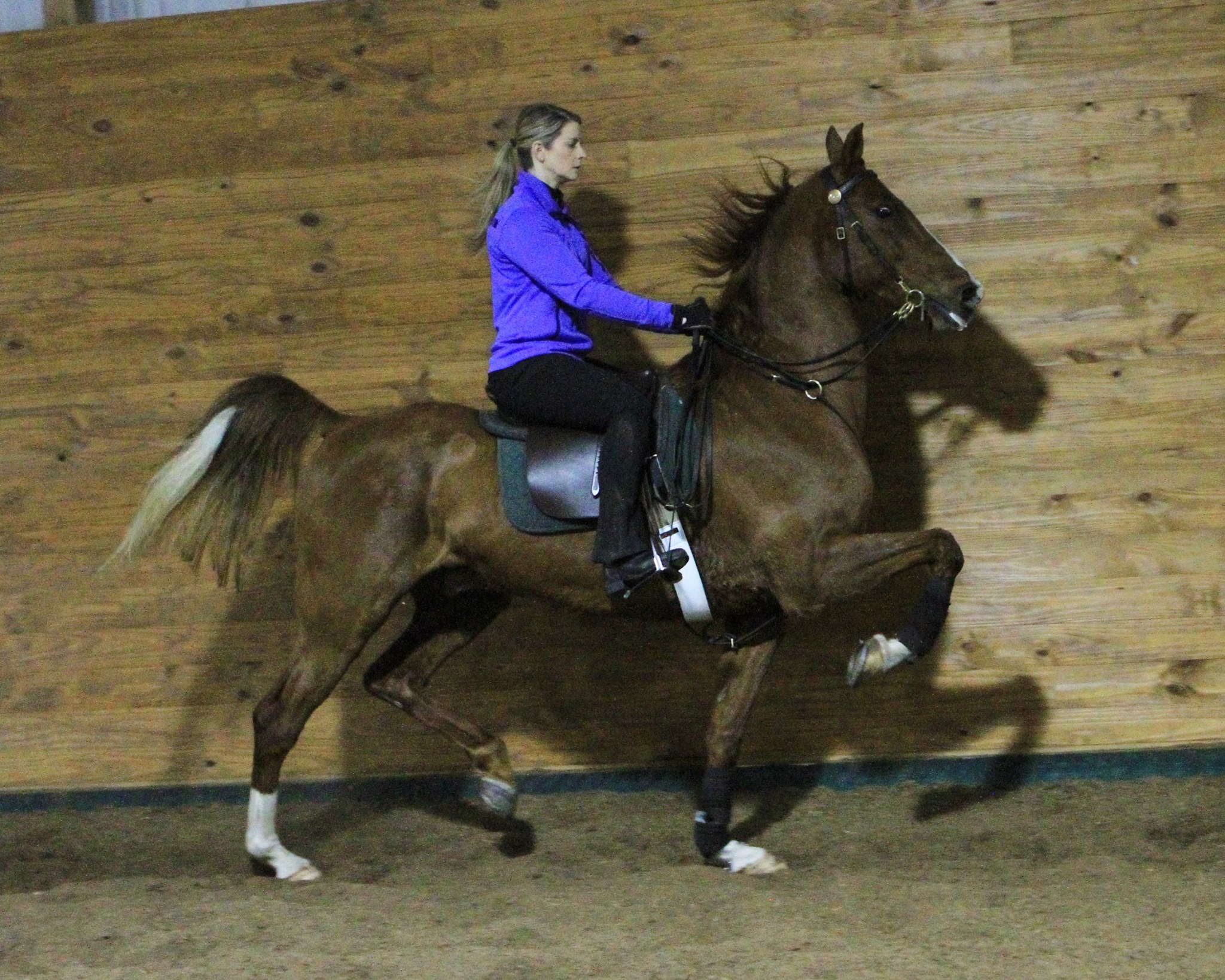 12140048_10154166158764444_2067037096436532418_o