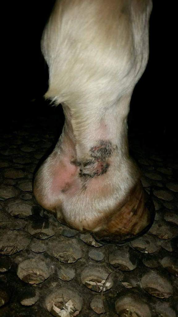 received_10154440241809444