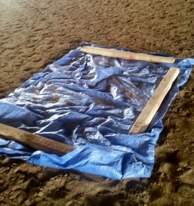 14715547_10154719085774444_7899975737097203091_o