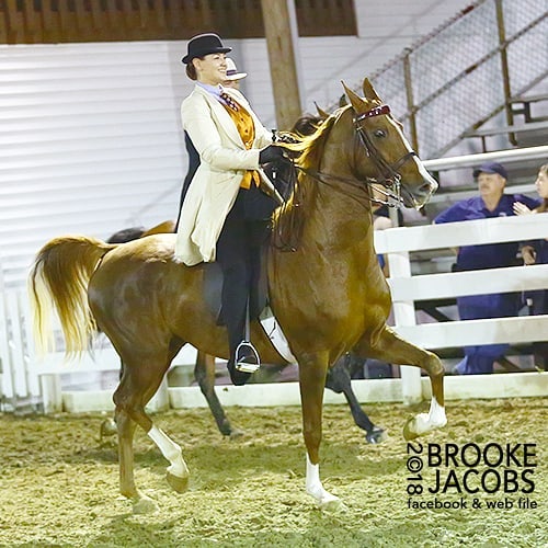 34096003_10156501714109444_1703173400102436864_n