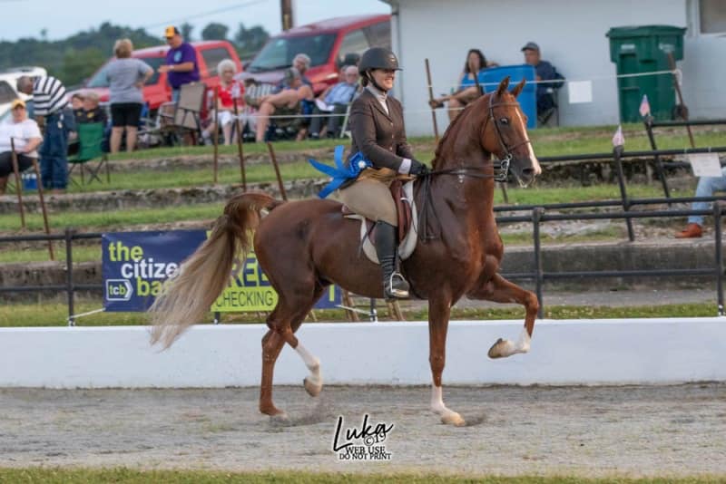 66070363_2316487765271990_2624714493803888640_n